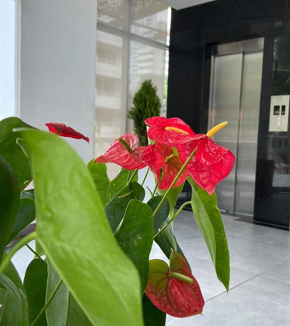 Hotel Zi One Luxury 4*