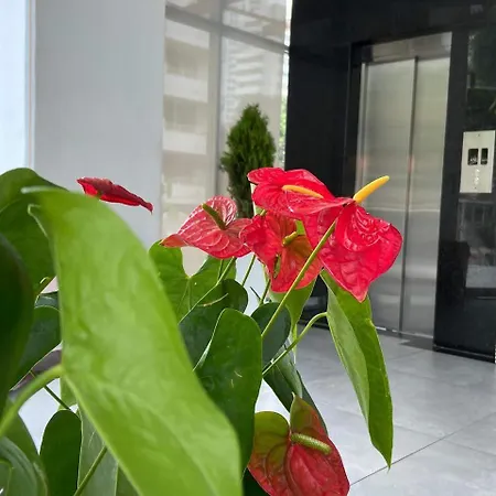 Hotel Zi One Luxury 4*