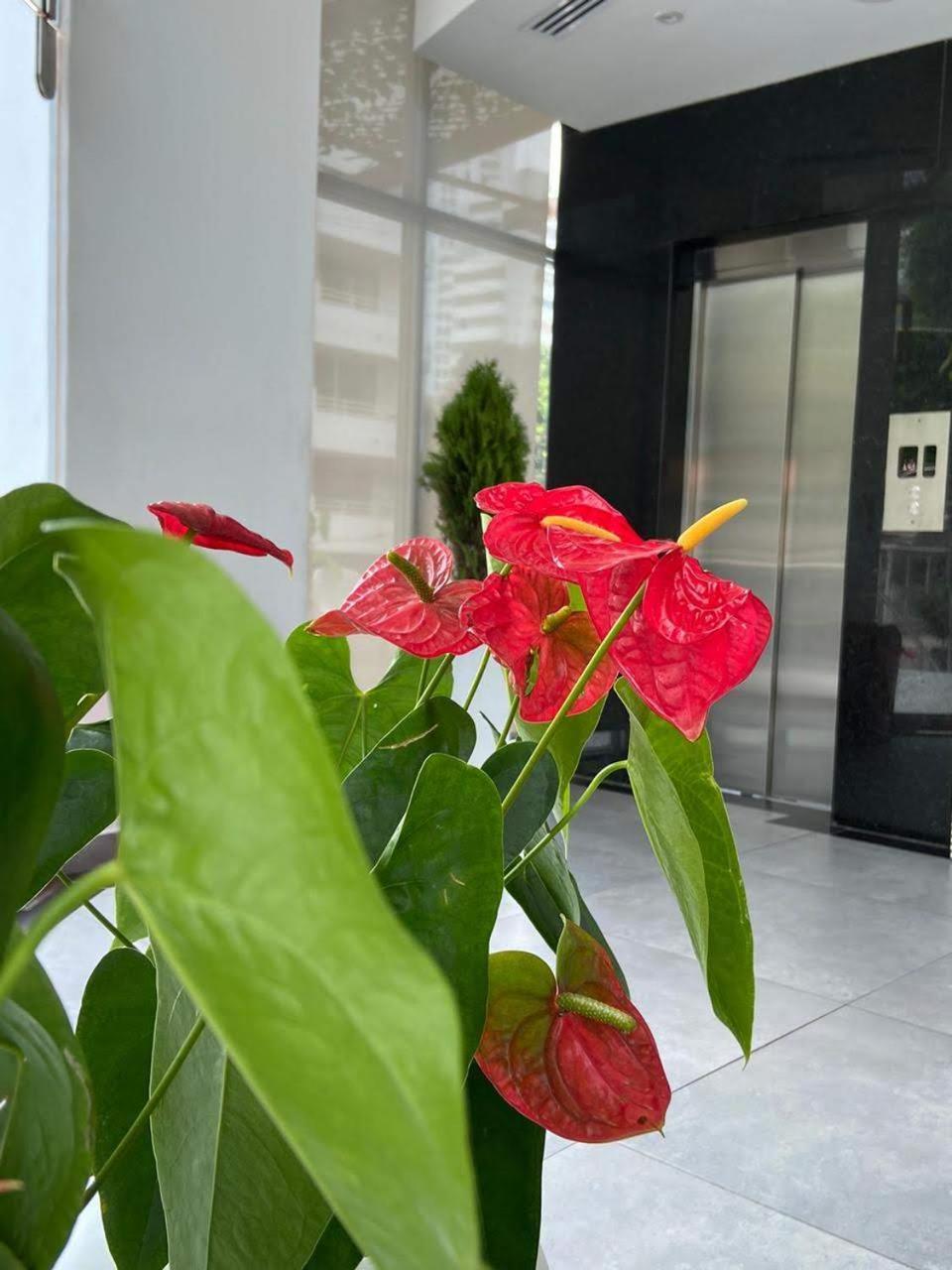 Hotel Zi One Luxury 4*